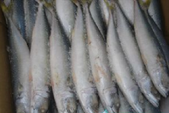 水產(chǎn)養(yǎng)殖冷庫(kù)